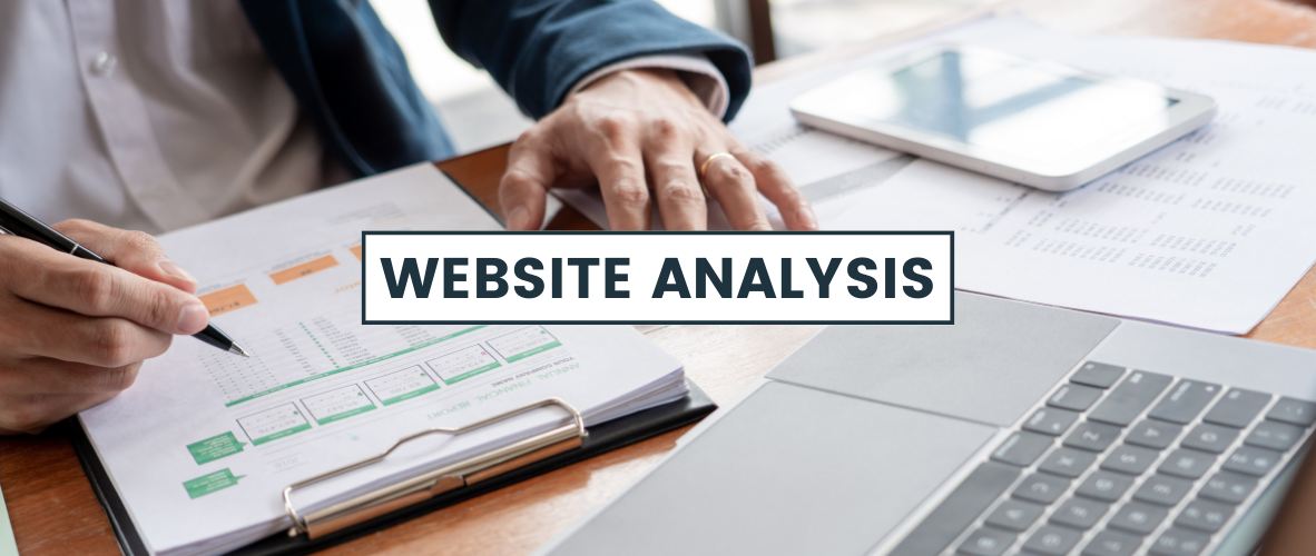 How to analyze the site and pages with SEOZoom tools