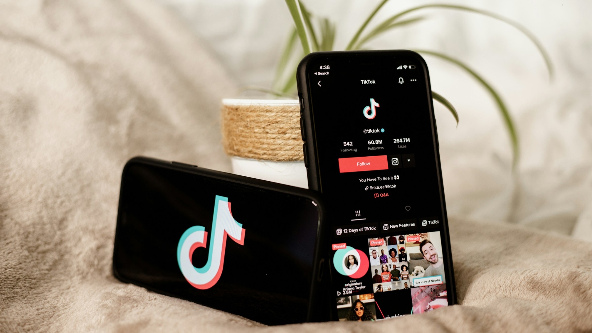 Guida alla SEO per TikTok