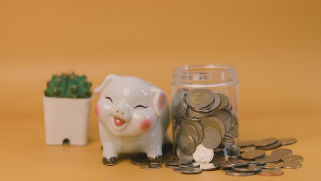 Brand vs budget: strategie ed esempi