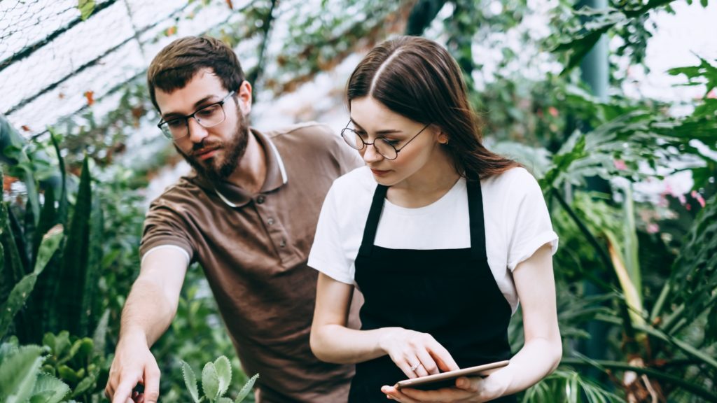 Come fare gestione strategica dei contenuti