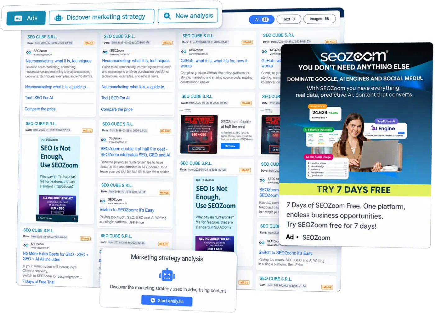ADS Insights: the active ad campaigns of a domain in SEOZoom